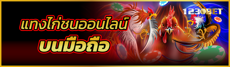 แทงไก่ชนออนไลน์บนมือถือ