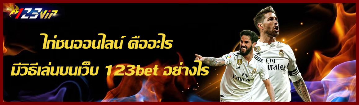 ไก่ชนออนไลน์ คืออะไร มีวิธีเล่นบนเว็บ 123bet อย่างไร 